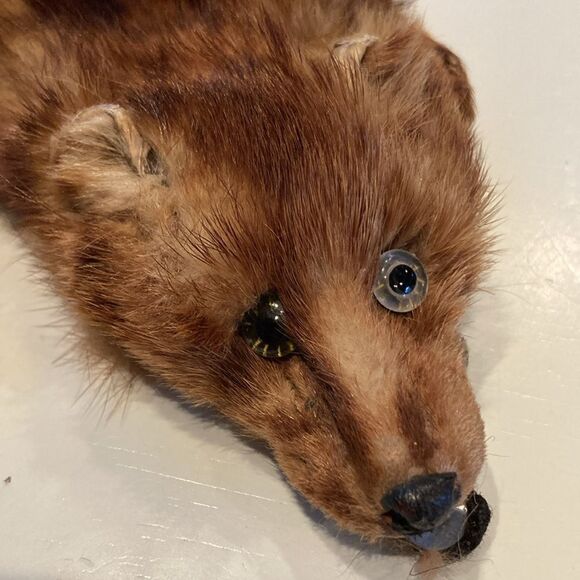 Double headed vintage mink stole - Picture 3 of 7